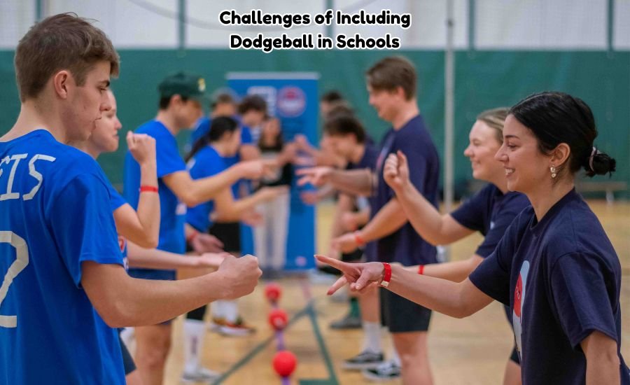 dodgeball in schools