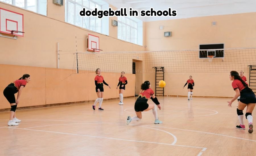 dodgeball in schools