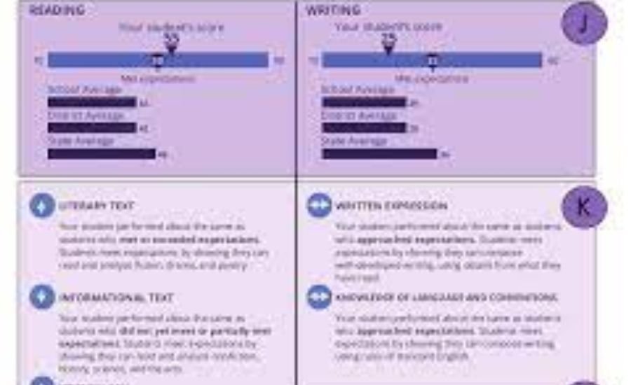 njsla - ela03 scores writing